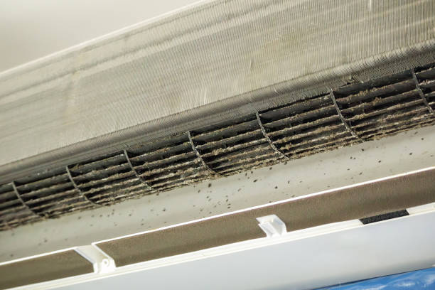 Best Air Duct Cleaning Near Me  in Smithville, TN